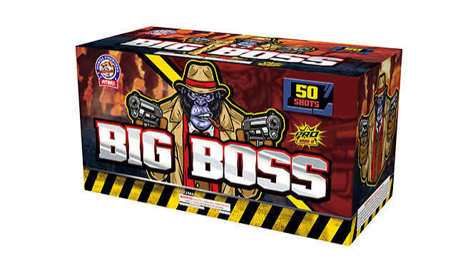 BIGG BOSS